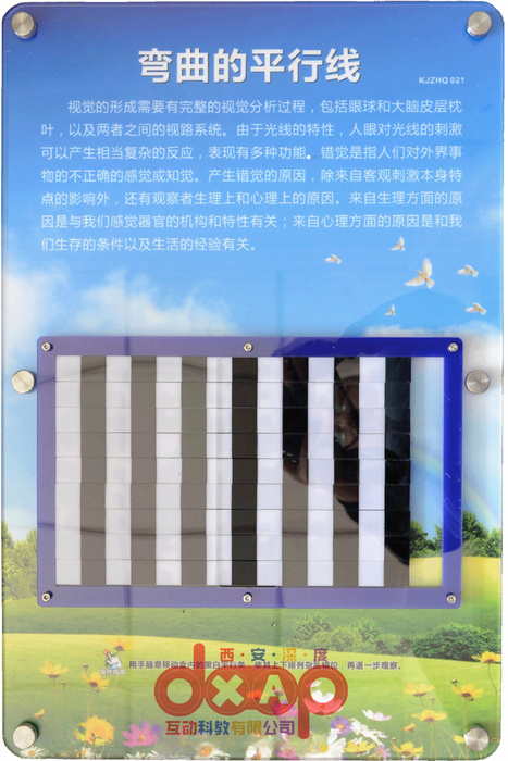 弯曲的平衡线